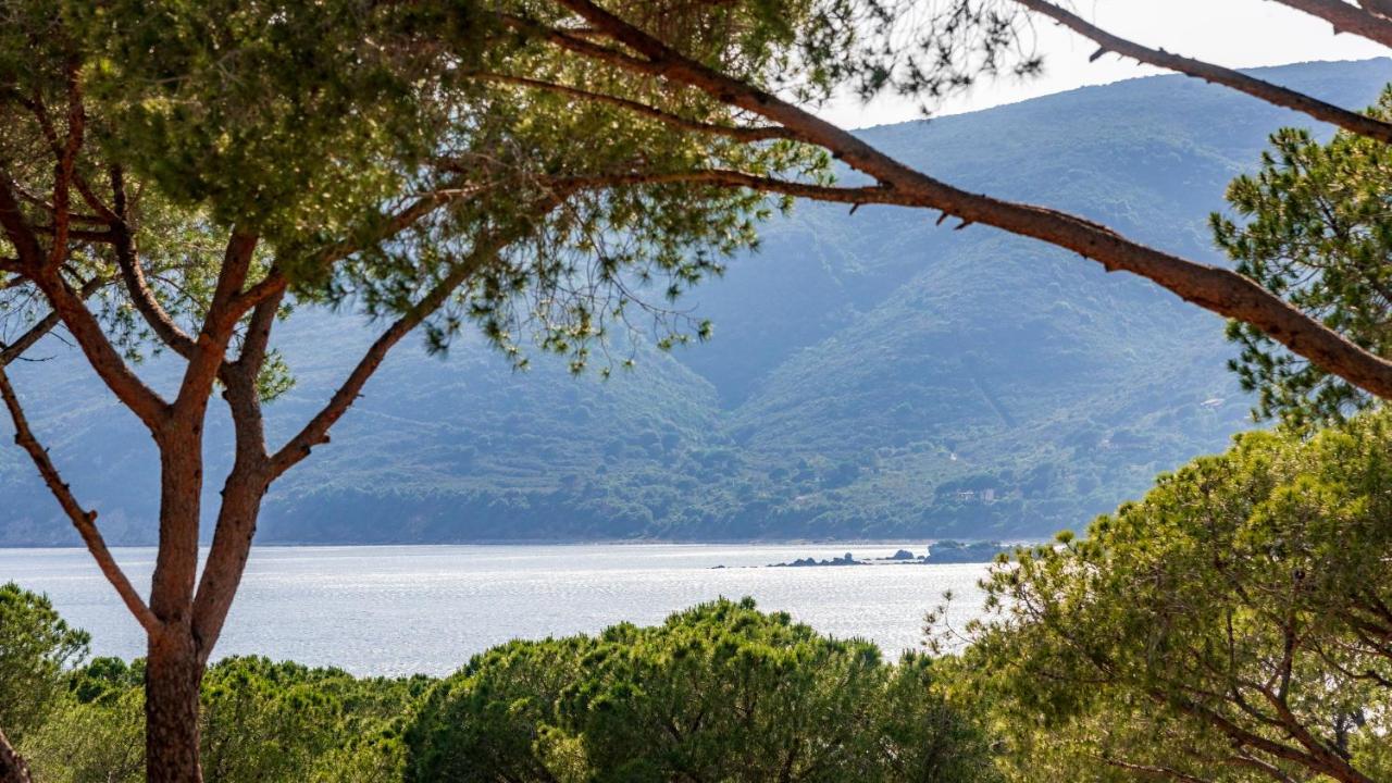 Camping Lacona Pineta Capoliveri  Exterior foto