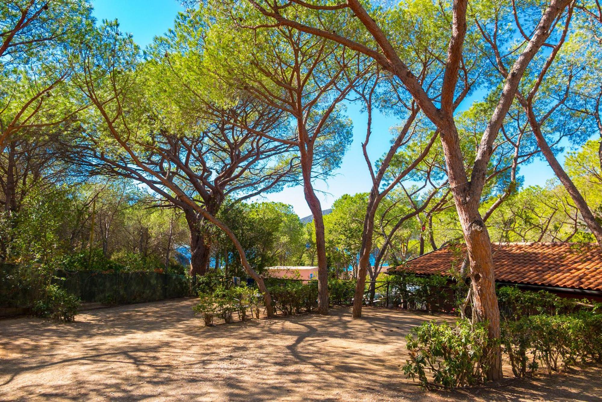 Camping Lacona Pineta Capoliveri  Exterior foto