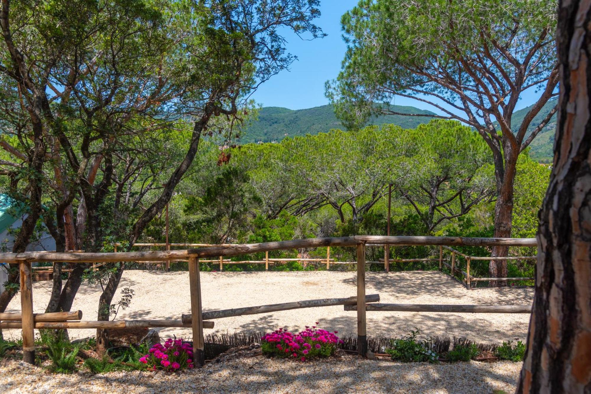 Camping Lacona Pineta Capoliveri  Exterior foto